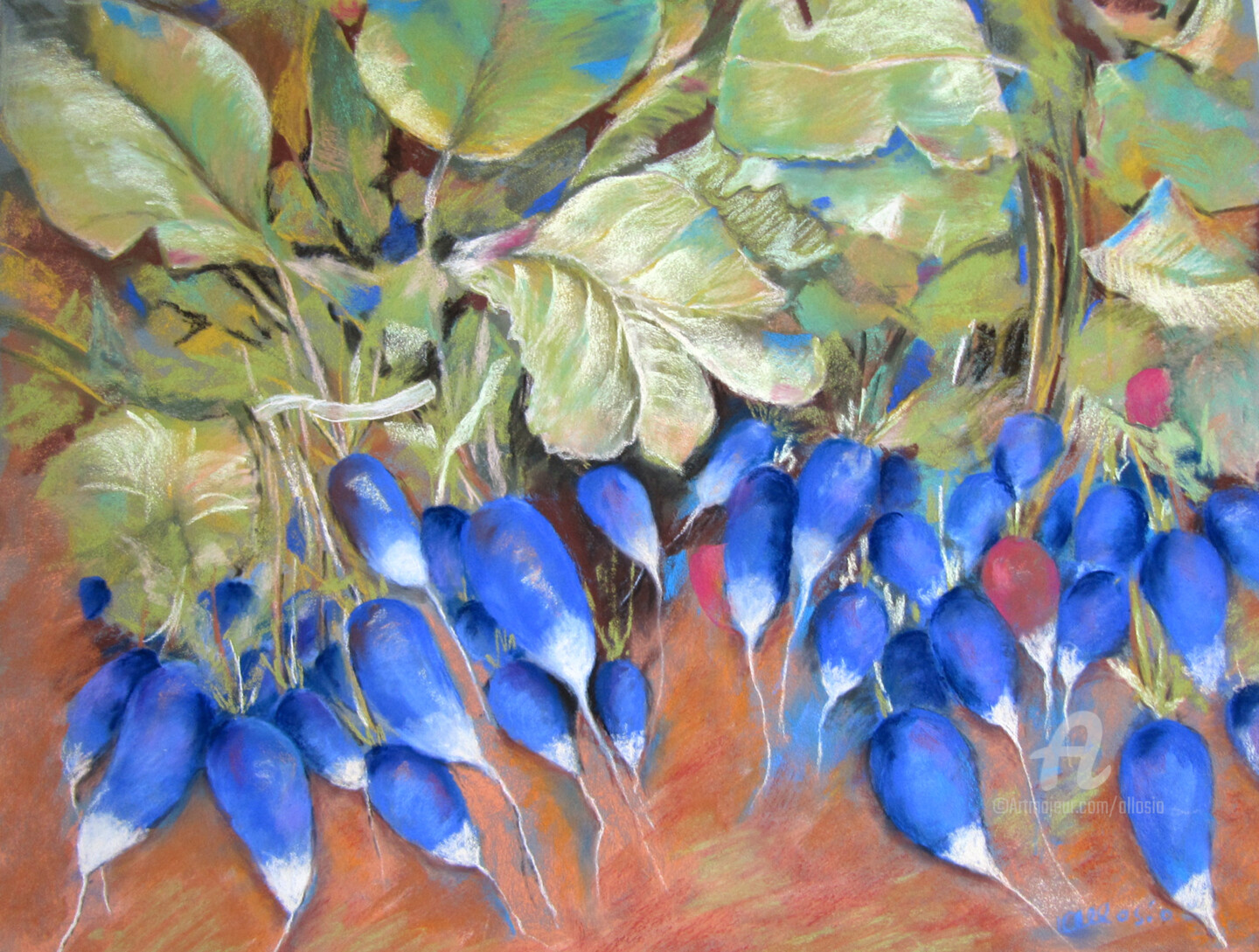 Claudette Allosio - Les radis bleus