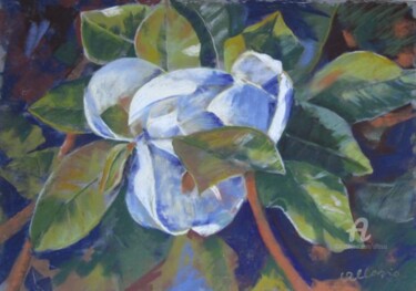 Magnolia